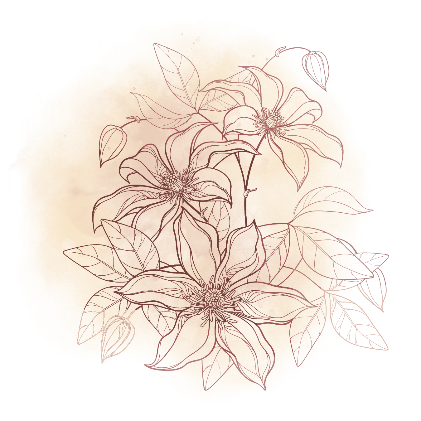 La boutique [Nom]Toutes nos plantes