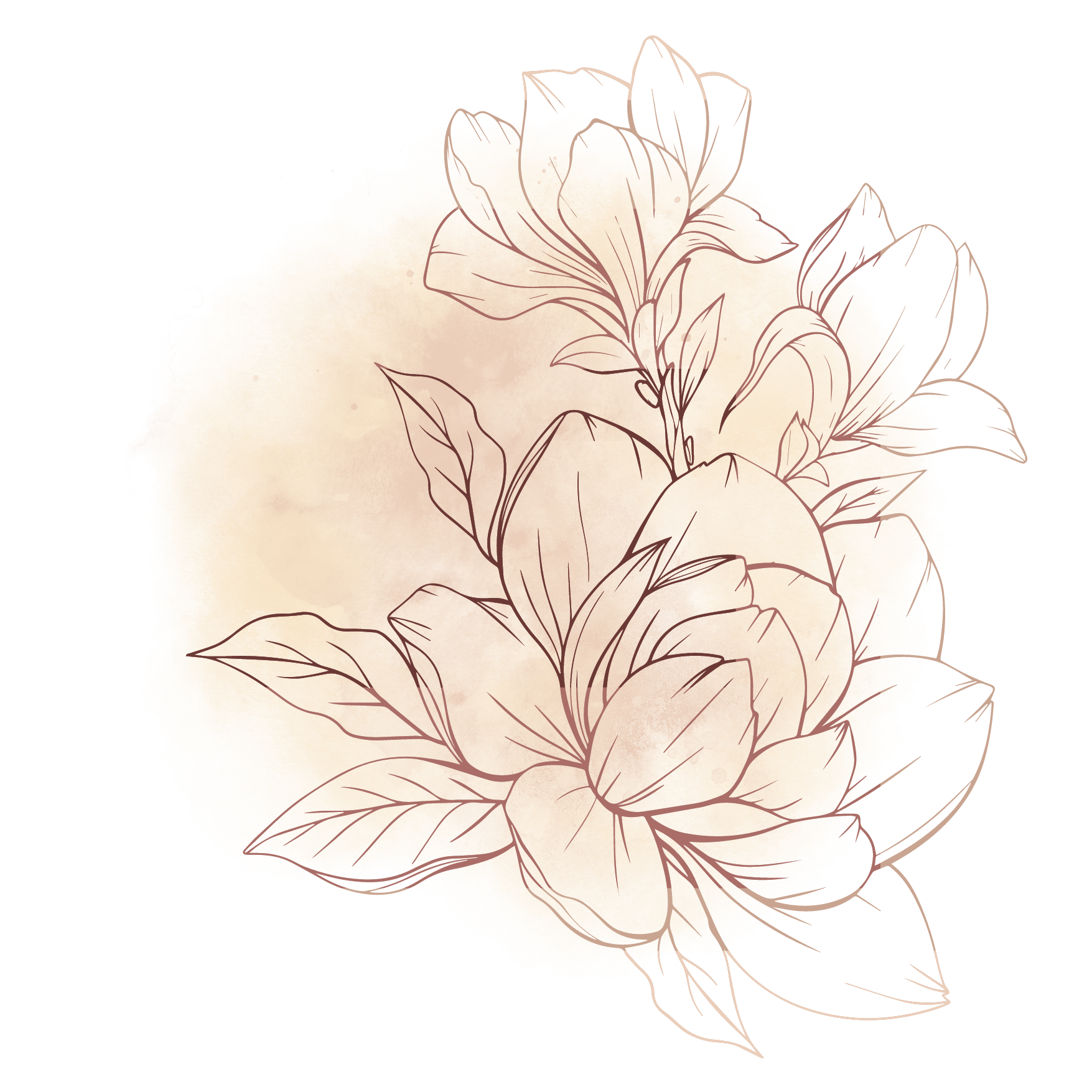 La boutique [Nom]Toutes nos fleurs