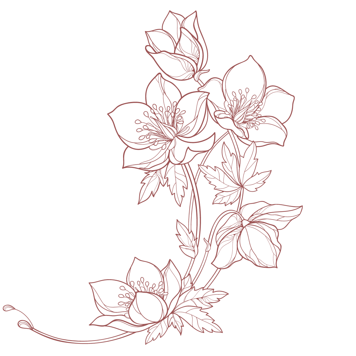 La boutique [Nom]Fleurs de naissance, à [Ville]